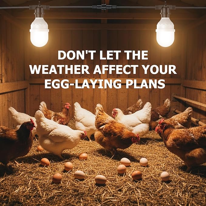 Automatic LED Daylight Extender, Chicken Coop Light with Timer and Easy to Program, Provides Additional Light for Hens and Enhances Egg Production