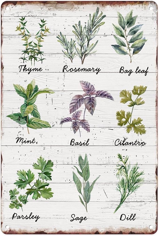 Sanwarm Metal Sign 8X12 Inch, Herbs Sage Green Mint Green Vintage Tin Sign Wall Art Decor for Home, Living Room, Kitchen, Garden, Bedroom, Office, Hotel, Cafe And Pub Decoration