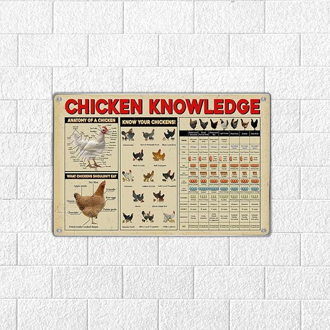 Chicken Knowledge Educational Metal Sign 12 x 8 Inch Wall Decor Chart With Anatomy Breeds And Feeding Guide For Farmhouse Kitchen Garage Coop Indoor Aluminum