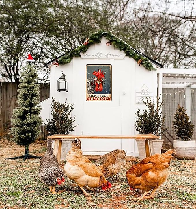 Funny Chicken Stop Staring My Cock Tin Sign for Farm Chicken Coop Farmhouse Kitchen Vintage Wall Decor 8x12 Inch (3058)