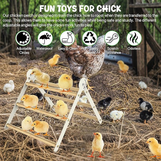 Bamboo Adjustable Chicken Perches, with Adjustable 7 Circles Holder, Strong Roost Bar for Coop&Brooder, Training Perch for Chicks, El Pollitos, La Pollita, Easy to Install & Clean, Fun Toys for Chicks