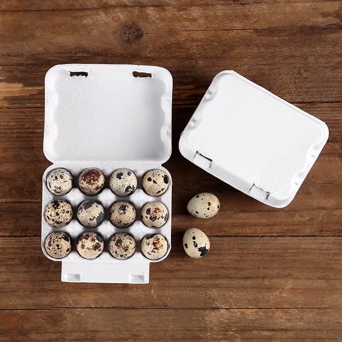 30 Pack Quail Egg Cartons, 3x4 Dozen Egg Carton, Blank Natural Pulp Eggs Container Holder Reusable for 12 Count Quail Huevo Storage Strong Tray for Refrigerator
