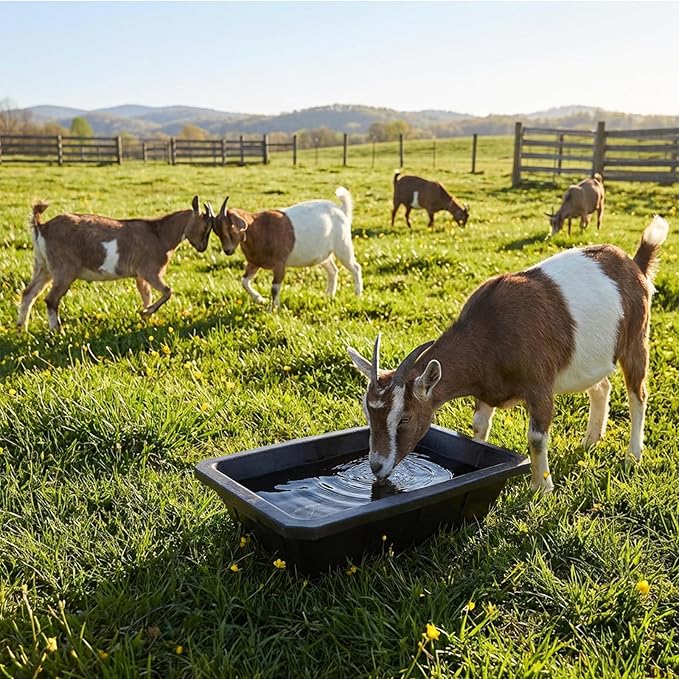 2 Pack Rubber Feeder Pan, 10 Quart Large Horse Trough Feeder Bucket, Heavy Duty 2.5 Gallon Chicken Dust Bath Tub Water Bowl for Pig Goat Dog Cat Farm Livestock Animal Feeding, Rectangular