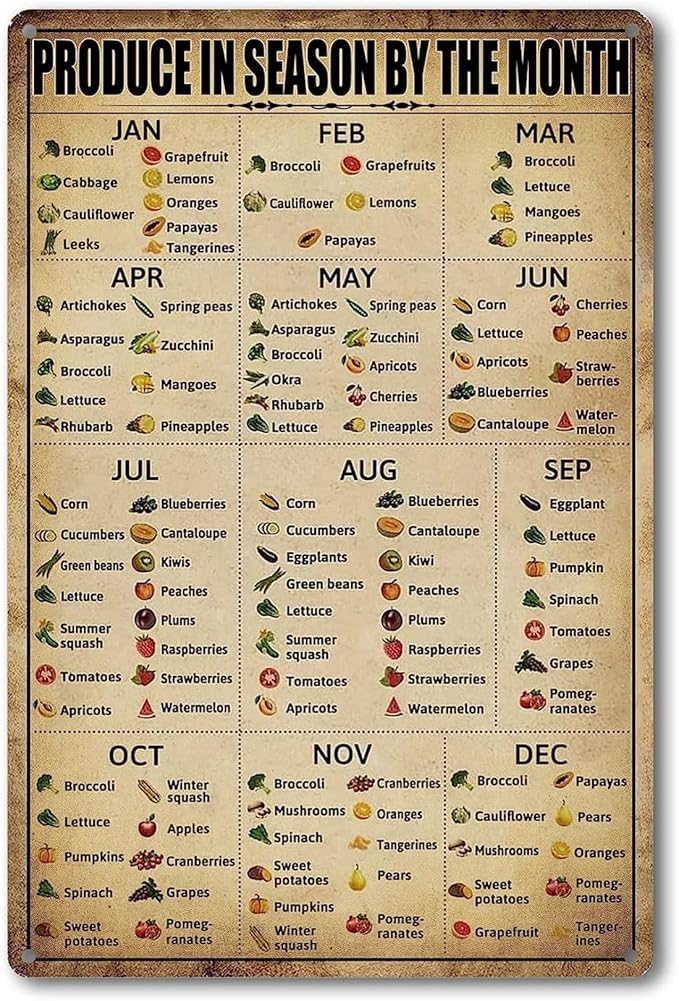 Season Fruit Sign Vegetables Knowledge Metal Tin Signs Vintage Plant Vegetables Chart Posters Produce In Season By The Month Sign Food Art Poster School Kitchen Pantry Wall Decor 8x12 Inch