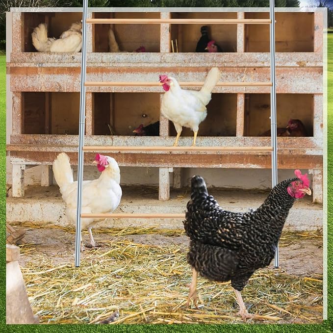 Wenqik Large Chicken Perch Chicken Roosting Bars for Coop Easy Installation Ladder for Backyard Poultry Galvanized Wood Entertaining Roost Toys for Hen Coop Accessories(55'' L x 41'' W)