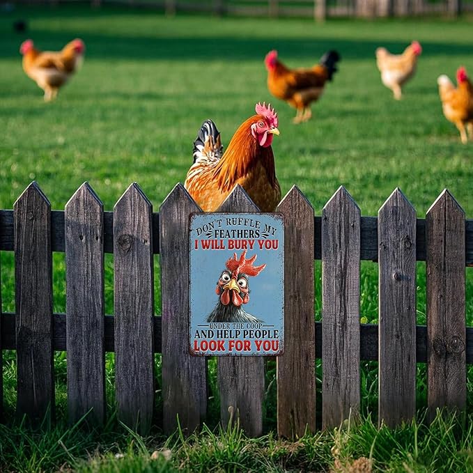 Funny Chicken Tin Sign Don't Ruffle My Feathers I Will Bury You Metal Sign Vintage Farm Chicken Coop Farmhouse Kitchen Yard Sign Art Wall Decor 12x8 Inch