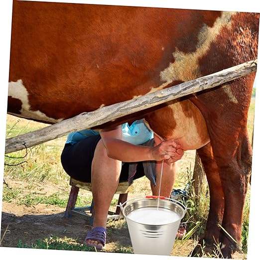 BESPORTBLE Heavy Duty Bucket with Lid Water Buckets for Farm Multi-Functional Pail for Dairy
