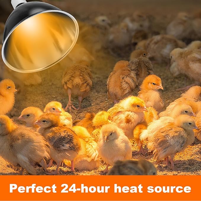 Chicks Brooder Box for Chicken Starter Kit- Includes Timing Heat Lamp Set, Detachable Chicken Brooder, Up to 15 Chicks, Sawdust, Chick Feeder and Waterer Set, Chick Perch 6-in-1 Chicken Coop Set