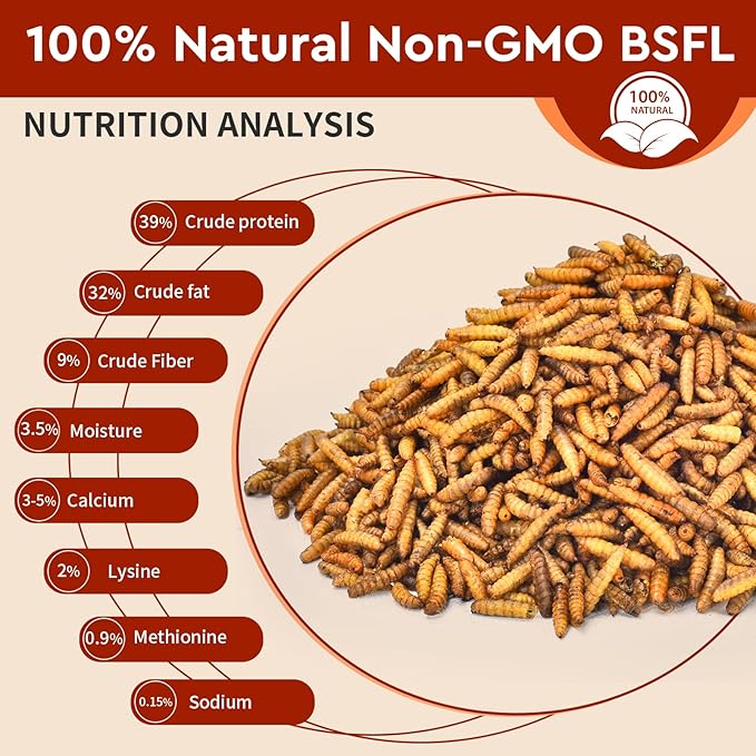 Dried Black Soldier Fly Larvae 10LB, 100% Natural Non-GMO, No Additives, Treat for Chickens, Reptiles and Birds, More Calcium Than Mealworms