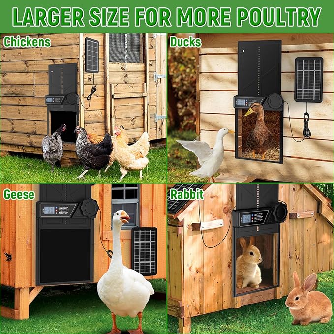Automatic Chicken Coop Door Solar Powered, LCD Display Automatic Chicken Door with Timer, Aluminum Chicken Door with Remote Control