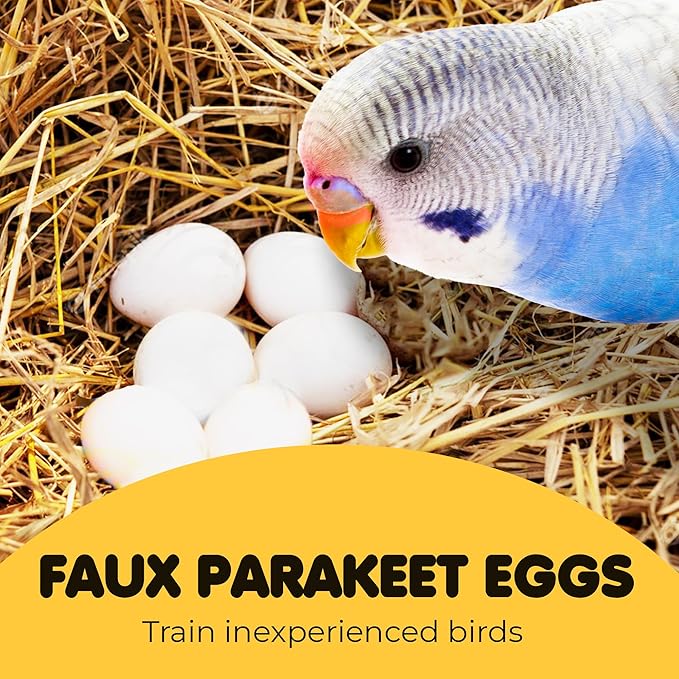 SunGrow Fake Eggs to Train Birds from Laying in The Nesting Boxes & to Stop from Eating Own Eggs, White Color, 8 Pack Plastic Eggs Suitable for Parakeet and Cockatiel