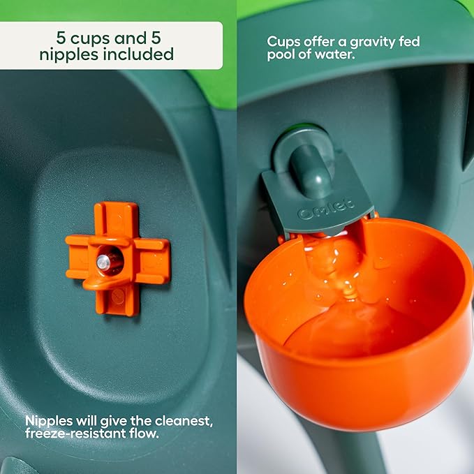 Omlet Insulated Chicken Waterer, 3 Gallon | Stay-Clean Automatic Water Dispenser for Chickens | BPA-Free | Anti-Roost Domed Lid | Includes 5 Cups & Nipples | Eglu Green