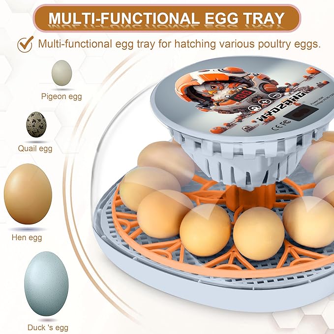 Smart Chicken Incubators for Hatching Eggs with Automatic Turner Small Poultry Duck Quail 12 Egg Incubator Temperature Control Display Hatcher Machine (Mechachick, ℉)
