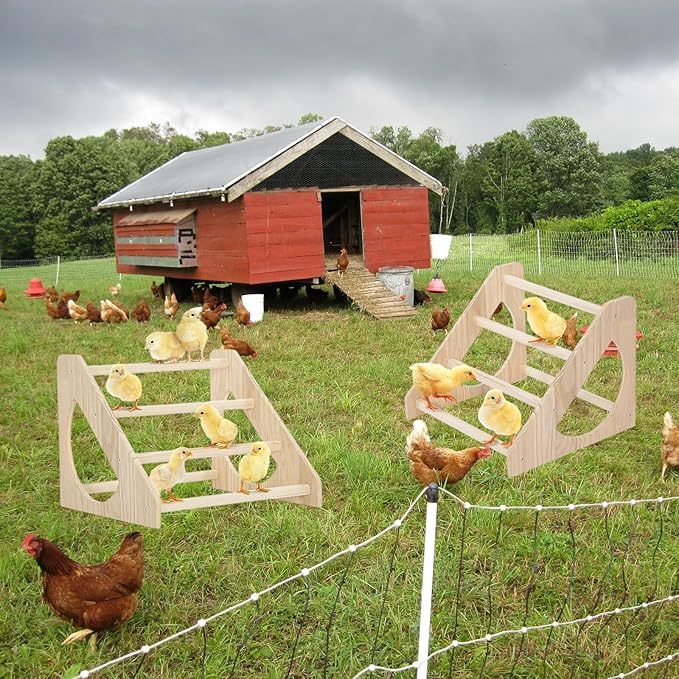 Chick Perch with Prevent Rotation Design and Strong Wooden Chicken Roosting Bar. Fun Toys for Chicks. Indoor/Outdoor Use.