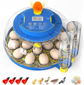 MYPIN 18 Chicken Eggs Incubator with Temperature Control, Humidity Display, Auto Egg Turning, Auto Water Filling, 2 Size Egg Trays, Chick Incubaotrs for Hatching Eggs Digital Incubator for Chicken
