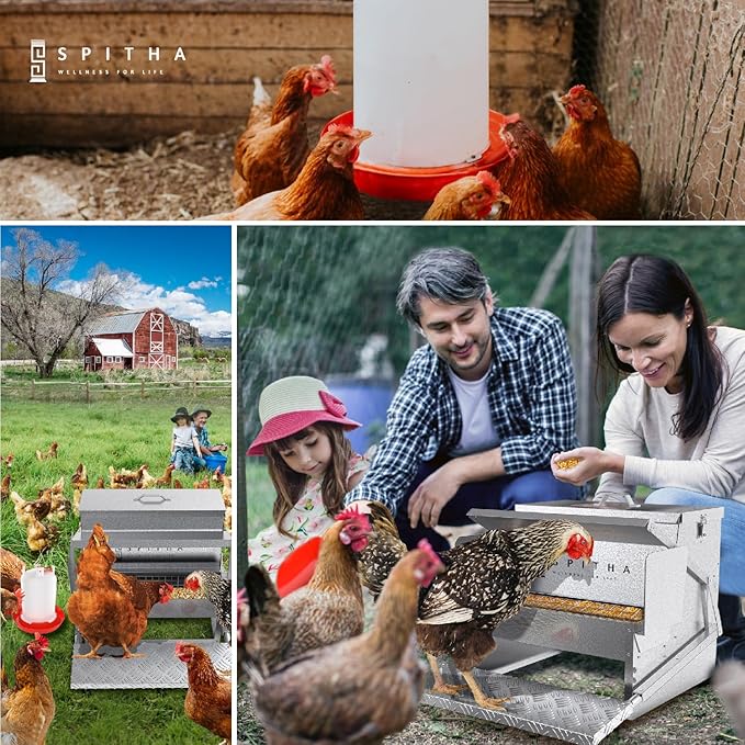 Automatic Chicken Feeder-Chicken Coop Accessories 40 lbs Treadle Chicken Feeders No Waste Steel Poultry Feeder Rodent Proof Weatherproof Comederos para Gallinas Supports 8-13 Chickens 12 Day