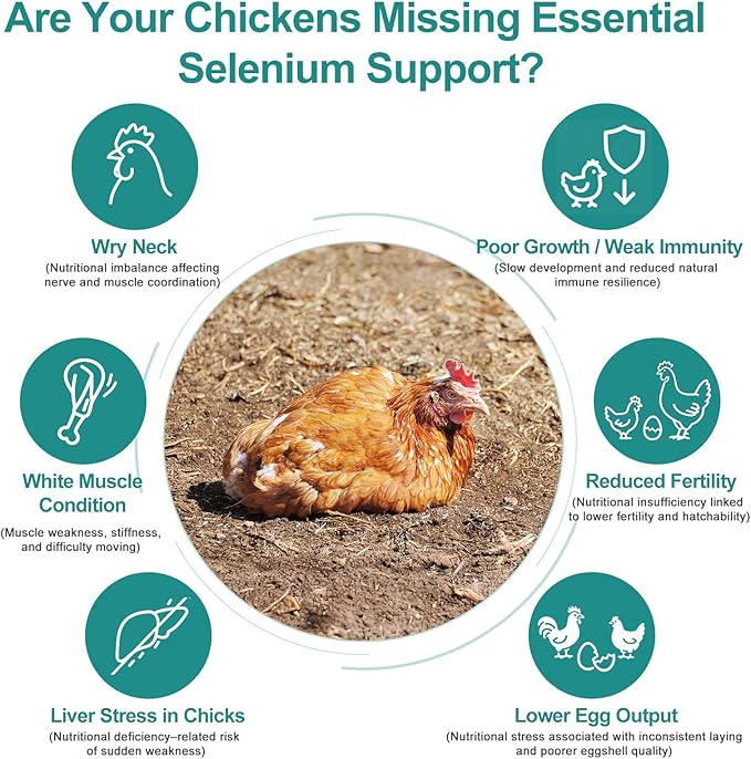 Liquid Selenium for Poultry Supports Muscle Function Stress Response Immune Balance Antioxidant Support Suitable for All Poultry 3.4 fl oz