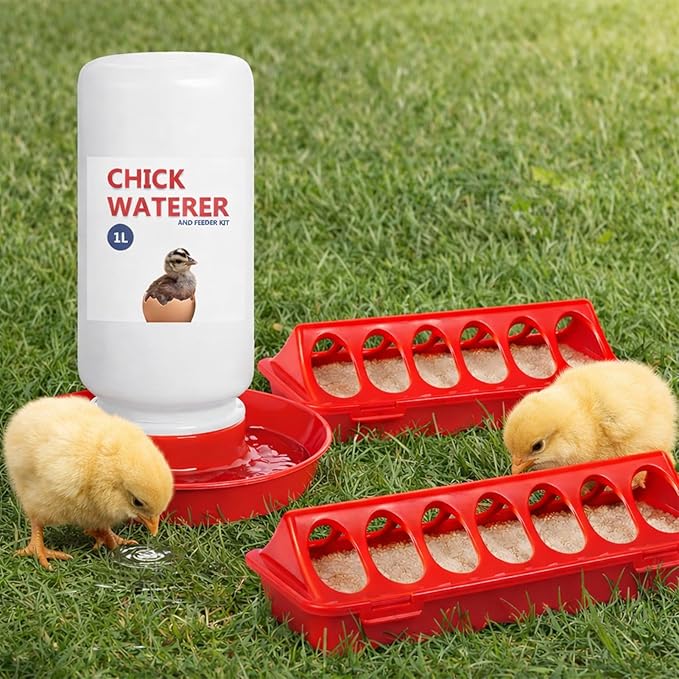 Chick Feeder and Waterer Set, 3 Pcs Baby Chicken Supplies with Chicks Feeder Trough and 1L Waterer, Chicken Starter Kit for Small Poultry Ducks Quail Coop