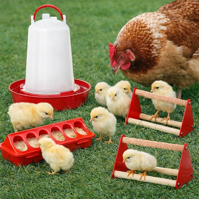 Chick Feeder and Waterer Kit, 6 Pcs Baby Chicken Supplies with Large 0.4 Gal Chick Waterer, Plastic Feeder Trough and Perch, Chicken Starter Kit for Coop and Brooder for Small Poultry Quail (Red)