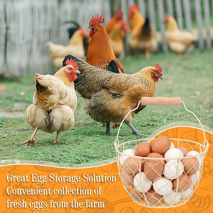 Egg Basket With Handle,Wire Egg Basket for Gathering Fresh Eggs, Round Egg Collecting Basket for Farm,Vintage Style Chicken and Duck Eggs Basket Egg Countertop Storage Container Holder ﻿(White)