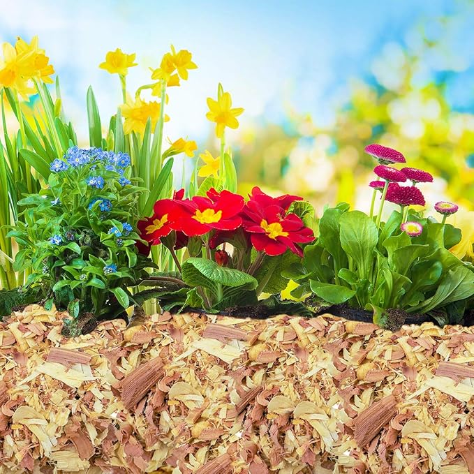 Garden Soils, Mulches and Rocks (Cedar Shavings, 8 Quarts)