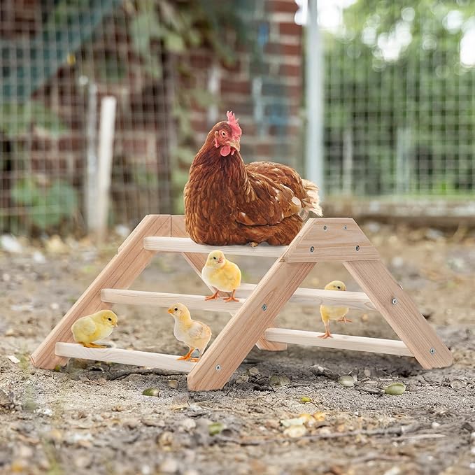 PETSFIT Dog Playpen,Brooder Box for Chick Starter Kit