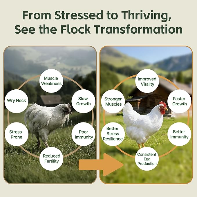 Selenium and Vitamin E Powder for Chickens – Boost Immunity, Muscle Support & Reproductive Health, Selenium for Chickens to Prevent Wry Neck & Improve Egg Production, Chicken Vitamins for All Poultry