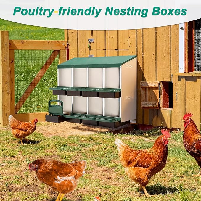Chicken Nesting Box, 8 Compartments Metal Chicken Laying Boxes with Roll Out Egg Collection, Wooden Fake Eggs, Install Accessories and Gloves for Hens/Goose/Duck/Rabbit, Green