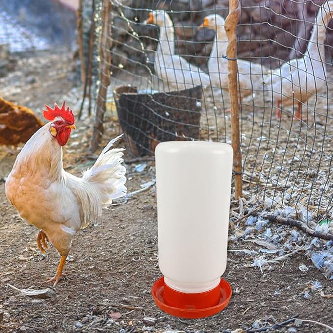 Chicken Feeder Waterer Supplies Chicken Coop Accessories Chicks Backyard Easy Use Portable Hen Pigeon Red Starter Kit, 1000 ml