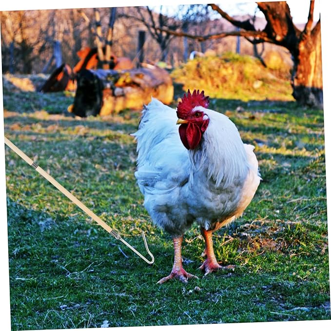 ibasenice Chicken Catching Artifact Feeding Net for Chicken Cat Net Catcher Chicken Slaughter Hook Chicken-catching Leg Hook Chicken Grabber Tool Catch Hook Duck Pole Stainless Steel Silver