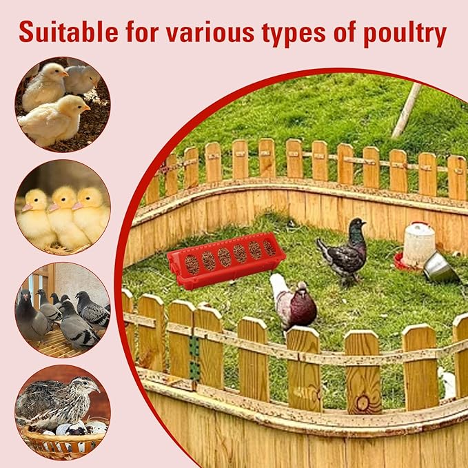 Chick Feeder and Waterer Set,Automatic 1L Hanging Chicken Waterer and Plastic Flip Top Chick Feeder for Baby Chicks,Ducks,and Quail,Brooder Starter Kit