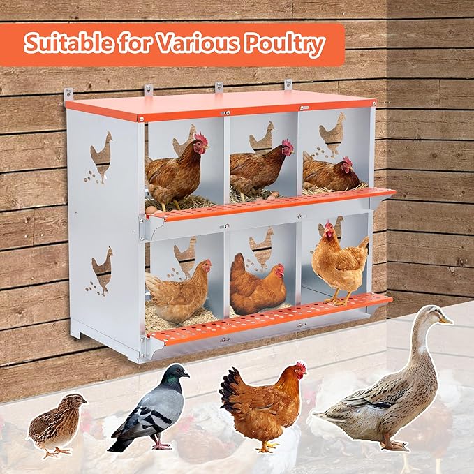 Nesting Boxes for Chickens with Chicken Nesting Pads, 6 Compartment Roll Away Nesting Boxes Chicken, Heavy-Duty Galvanized Steel Rustproof Design Wall Mountable Laying Boxes for Hens, Ducks, Birds