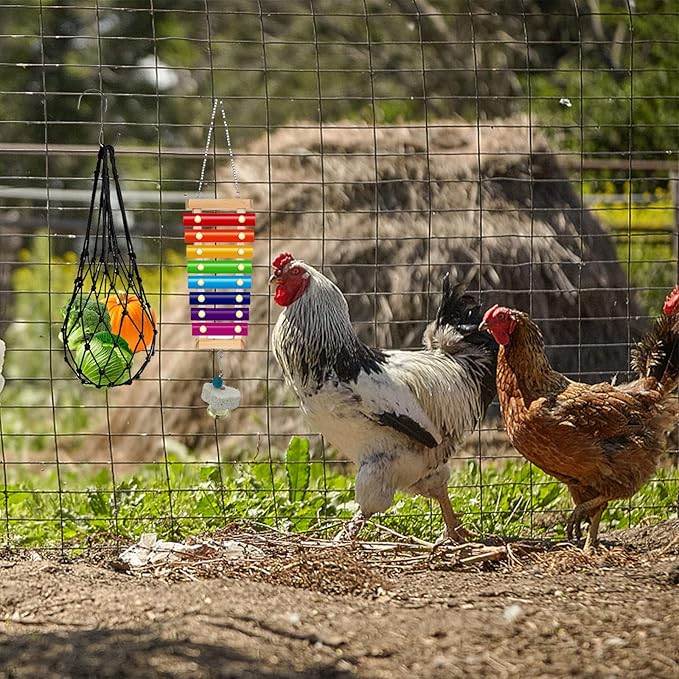 6 Packs Chicken Toys for Coop Accessries, Chicken Swing Toys for Chicken Hens, Chicken Xylophone Toys and Mirror, Vegetable Hanging Feeder, Veggies Skewer