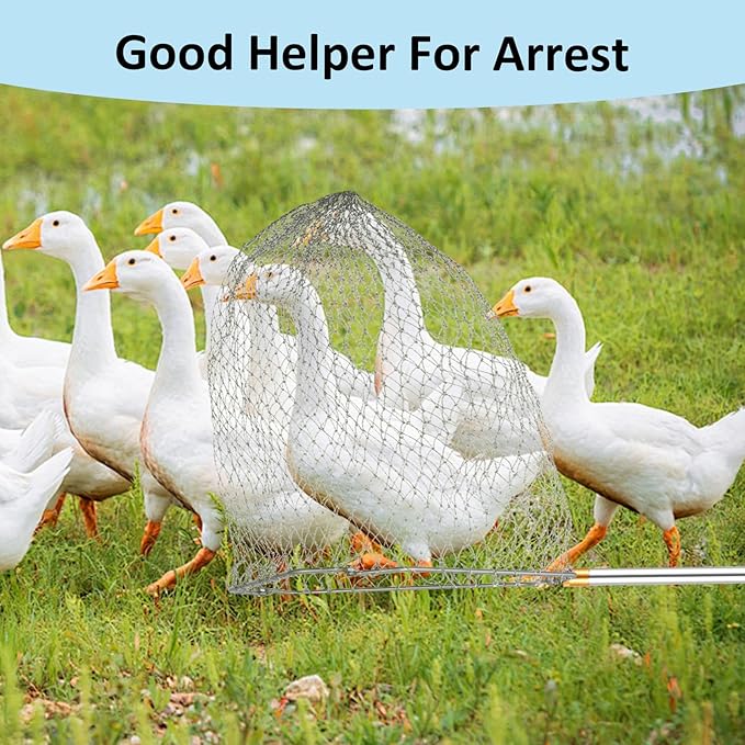 Chicken Catching Net Set – 2 Nets with Adjustable 74 Inch Pole, Lightweight Bird & Animal Catcher for Chickens, Ducks, Geese, Fish, Cats – Heavy-Duty Nylon Net with Stainless Steel Frame