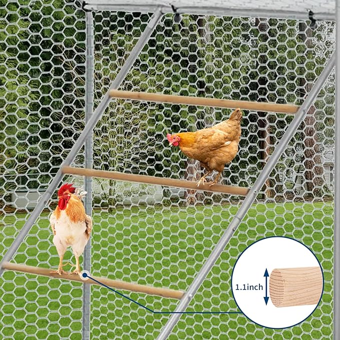Upgraded 55" Multi-Tiered Chicken Roost: Galvanized Steel Frame with Wooden Perch Rungs & Ladder - an All-in-One Roosting Bar, Swing, and Habitat Enrichment for Healthy, Happy Hens