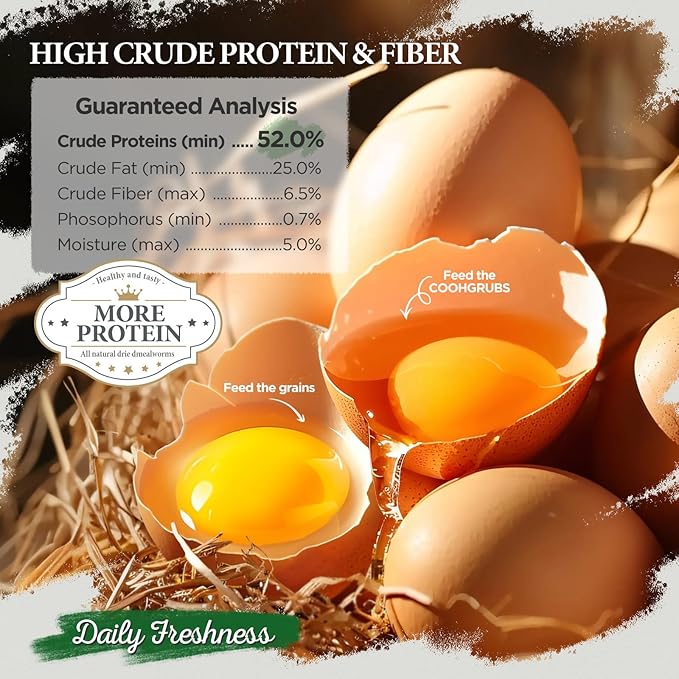 100% Natural Dried Mealworms, Non-GMO Meal Worms for Chickens, Ducks & Wild Birds, High Protein Chicken Treats & Bird Food, 2-lb Box