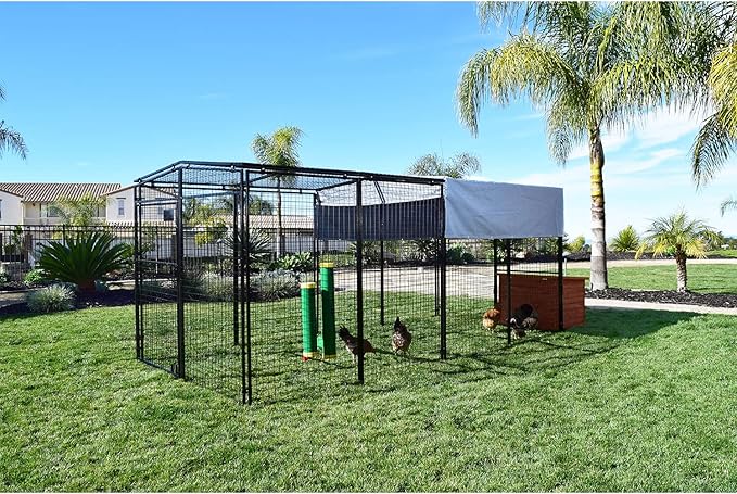 Rugged Ranch 2-Pack 10-Lb Poultry Feeder for Chicken Coops, Outside-Mount Design - Weather-Resistant, Easy Refill Access & Rain Shield to Help Keep Feed Dry