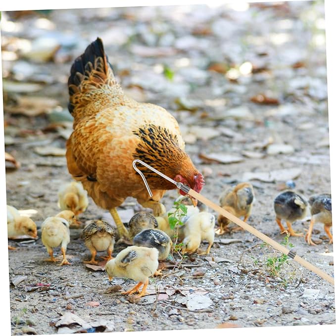 Happyyami Chicken Accessories Chicken Catcher Hook for Chicken Poultry Hanging Hooks Animal Catch Net for Chicken Legs