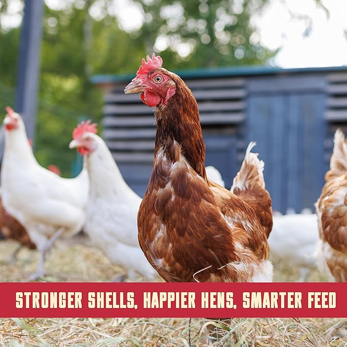 Natural Layer Chicken Feed - 40 lb Bag, Complete Poultry Feed for Laying Hens, Balanced Daily Nutrition for Backyard Chickens, Supports Consistent Egg Production and Flock Health