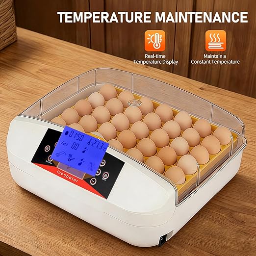 Winado Incubators for Hatching Eggs, 41 Egg Incubator with Automatic Egg Turning & Temperature Control, Egg Candler, and Day Counter for Chicken, Duck, and Quail Eggs Hatching