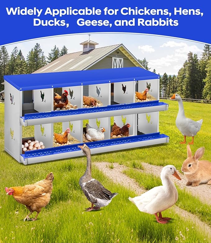 Durable Blue Poultry Nest Box - Metal Chicken Nesting Box for Small Animals - 10 Compartments, Wall Mount, Easy Egg Collection & Protection, No Legs - Blue, 10 Compartments, No Legs