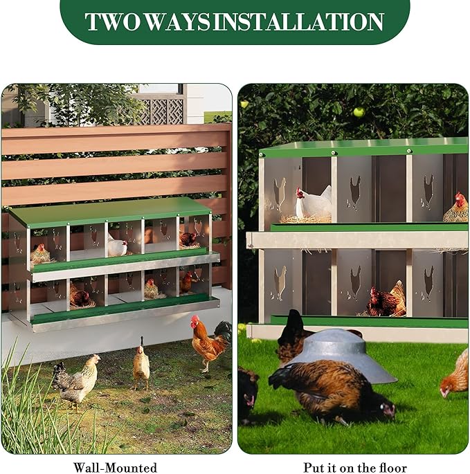 Heavy Duty Galvanized Metal Chicken Nesting Box - Rustproof Egg Laying Box for Hens with Slanted Roof, Rollout Design - Wall Mount or Freestanding Poultry Nest for Chicken Coop (10-Hole)
