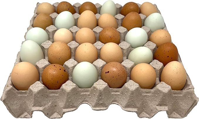 Paper Pulp Egg Trays - 20 Pack