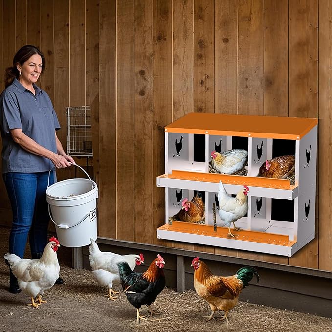 6-Compartment Chicken Nesting Box with Removable Tray - Metal Laying Boxes for Hens - Egg Rollaway Design, Wall Mount Farm Fresh Egg Collector, Hen Roosting Boxes for Chicken Coops