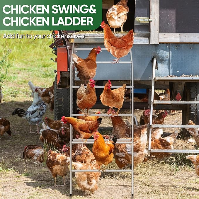 Chicken Perch for Coop with Swing,Chicken Roosting Bars with Large Ladder,Farm Chickens Toys,Perfect for Backyard Pet's Healthy & Happy,Easy to Assemble & Clean,Grey