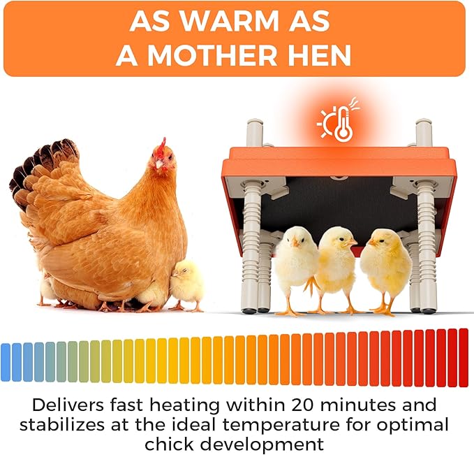 Chick Brooder Heating Plate with Anti-Stand Cone, 10" x 10" Brooder Heater for Chicks— Featuring Adjustable Temperature and Height Settings