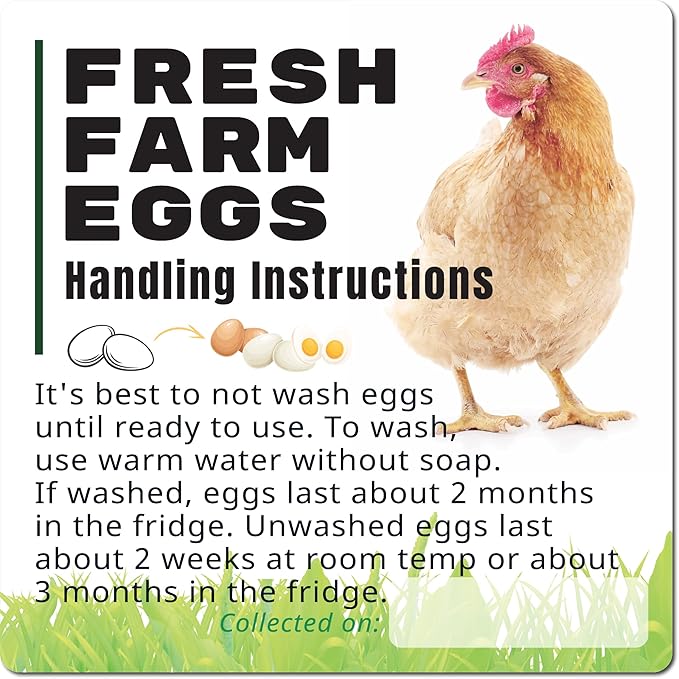 100 Pack Premium Fresh Farm Eggs Handling Instructions Stickers Labels Care Accessories | Egg Blank Cartons 4 6 12 15 18 30 48 50 Count Basket Box Container Storing Extra Organizer -M11SS100