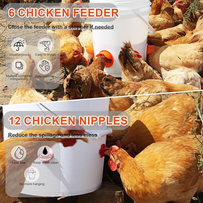 TAOGU Chicken Feeder No Waste Automatic Poultry Feeder Ports Chicken Feeders and Waterer Set Chicken Feeders Kit