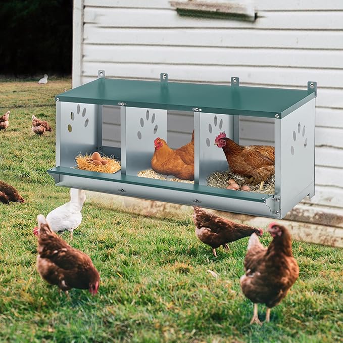 3 Compartment Chicken Nest Box, 3 Room Galvanized Steel Rustproof Metal Nesting Boxes, Chicken Egg Collection Laying Box for Hens
