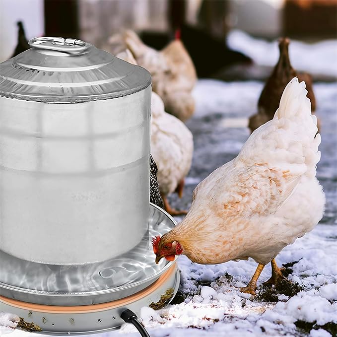 Chicken Water Heater for Winter, 11.8" Stainless Steel Heated Base for Poultry Drinker, 110V 60Watt Thermostatic Heater for 1-5 Gallon Chicken Waterer, US Plug, Anti-Rust, Safe for Coops and Barns